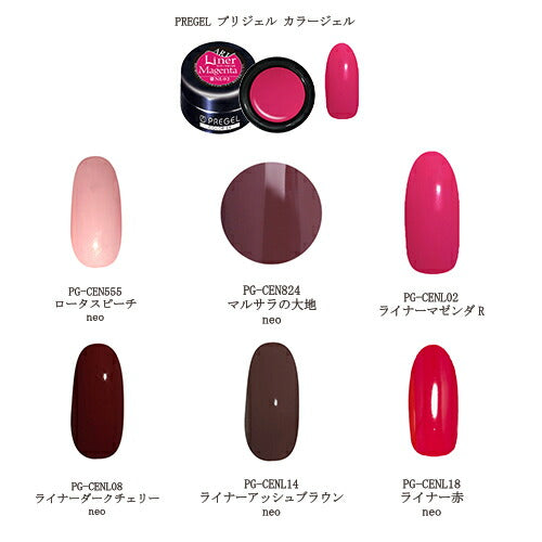 PREGEL カラージェル PG-CEN555~ ネオシリーズ マット 3g ネイルカラー