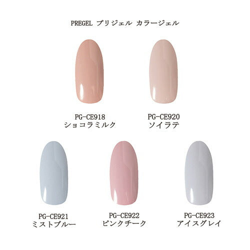 PREGEL カラージェル PG-CE918~ ニュアンスシリーズ マット 3g ネイルカラー